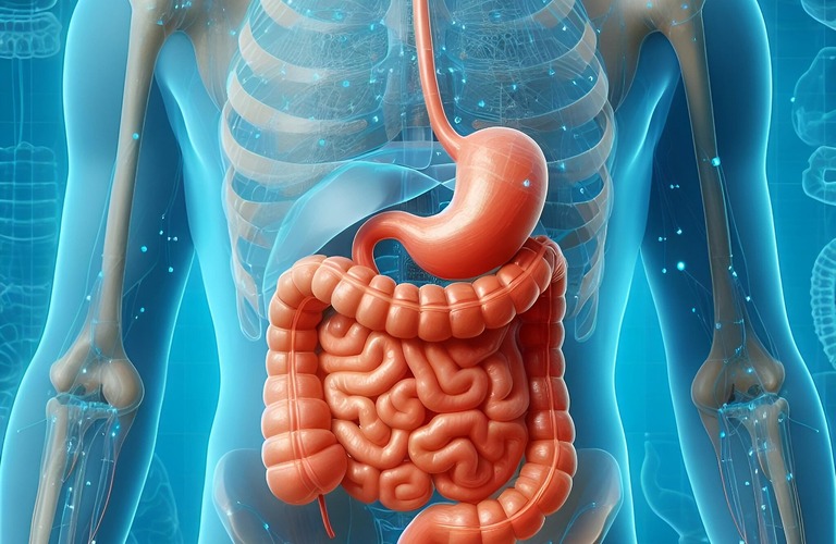 腸の癒着を発見し、健やかな毎日を取り戻しましょう！　　　　武蔵小杉せのお内科クリニック