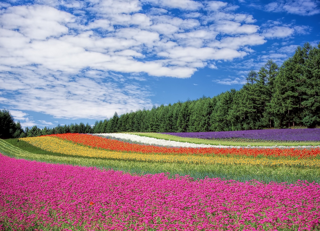 花粉症の症状とその原因
