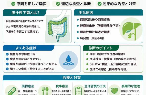 胆汁性下痢の正体に迫る！あなたの悩みを解消するための全知識　　　　武蔵小杉せのお内科クリニック