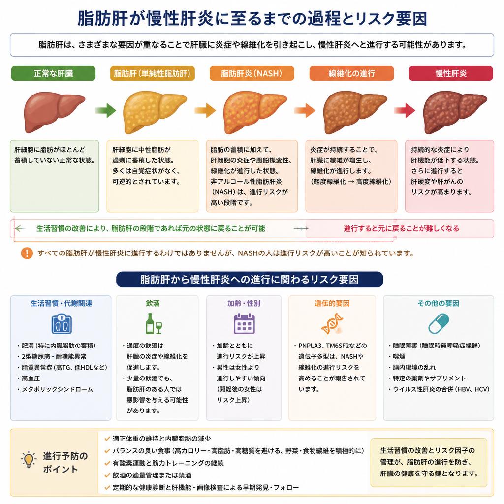 脂肪肝のメカニズム