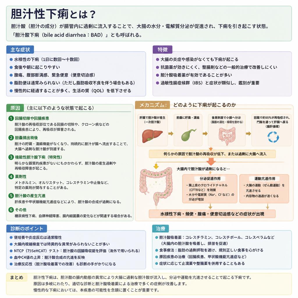 胆汁性下痢の特徴とそのメカニズム