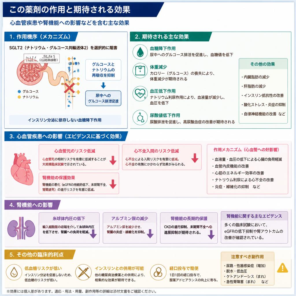 SGLT2阻害薬のメリットと活用法