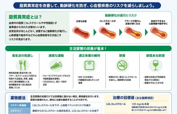 心血管疾患を遠ざける！脂質異常症対策とその治療法　　　　　　　　武蔵小杉せのお内科クリニック