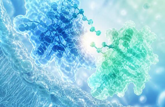 GLP-1/GIP受容体作動薬で健康の新たな可能性を探る　　　　　　　　　武蔵小杉せのお内科クリニック